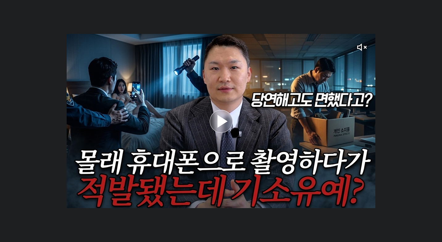ANL 성범죄 변호 시스템에 따른 프로세스